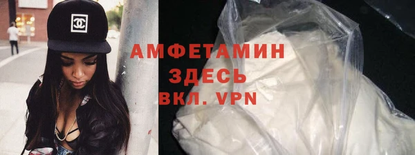 сатива Аркадак