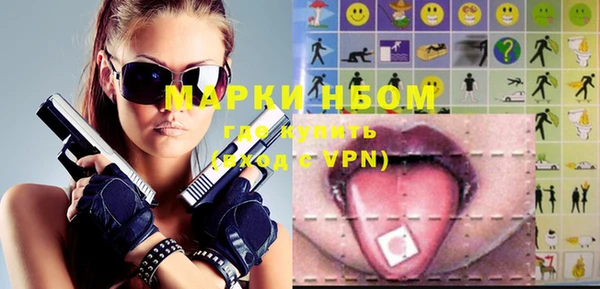 сатива Аркадак