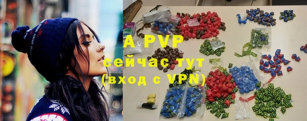 сатива Аркадак