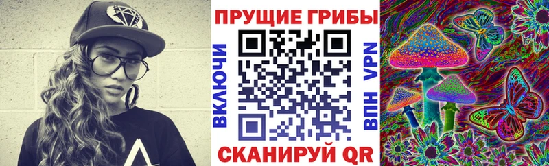 Галлюциногенные грибы Cubensis  omg ссылки  Солнечногорск 